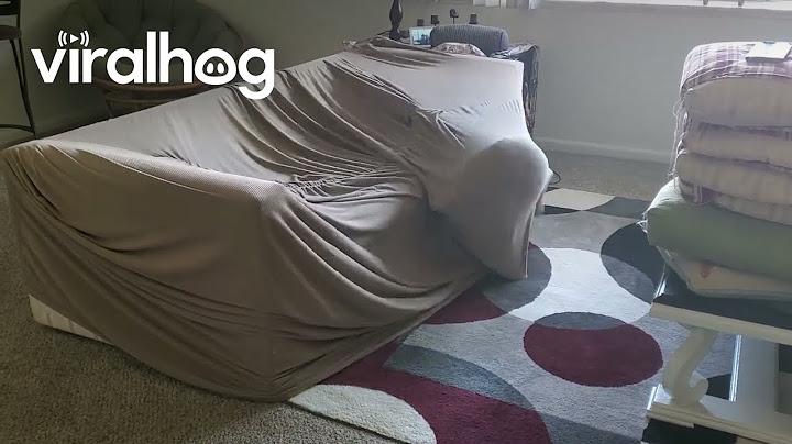 Well, I Guess I Live Here now... || ViralHog