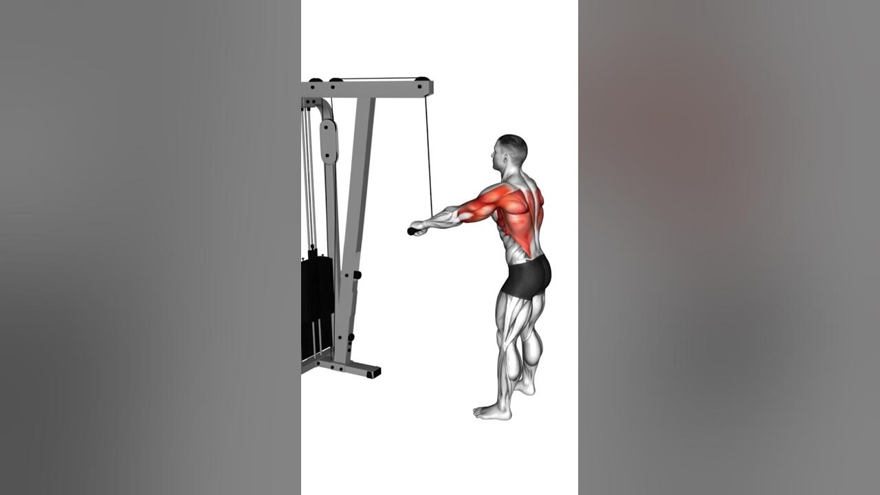 Top lat bungen r ckentraining muskelaufbautipps krafttraining 