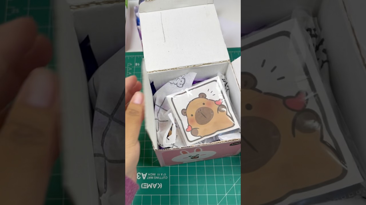 Packing a Super Kawaii Capybara Fake Order! 🐾📦 ASMR Art
