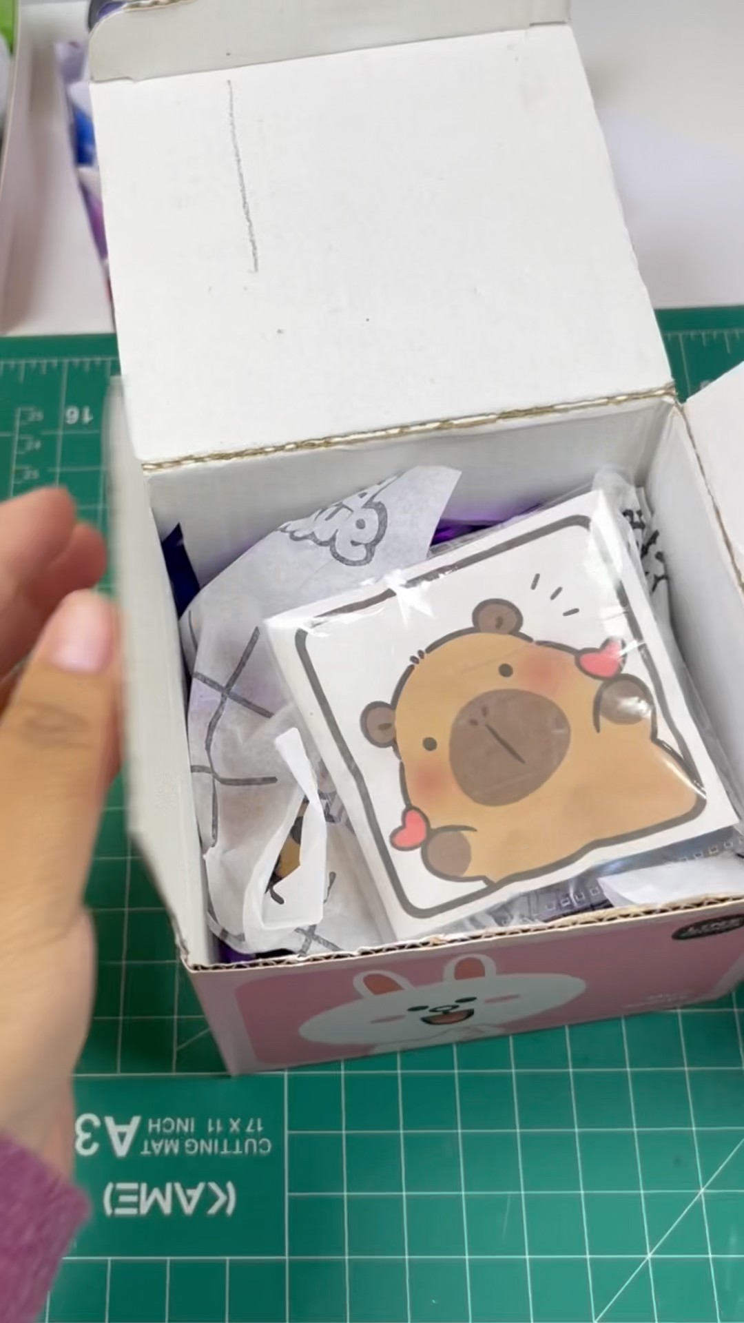 かぴばら様オーダーページ Packing a Super Kawaii Capybara Fake Order! 🐾📦 ASMR Art