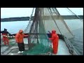 Deck Safety Awareness for Purse Seiners (Safety Film) Deck Safety Awareness for Purse Seiners (Safety Film)