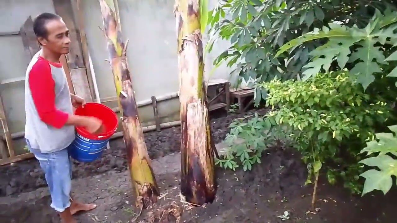 Kesibukan bapak di pagi hari di bulan puasa🌿