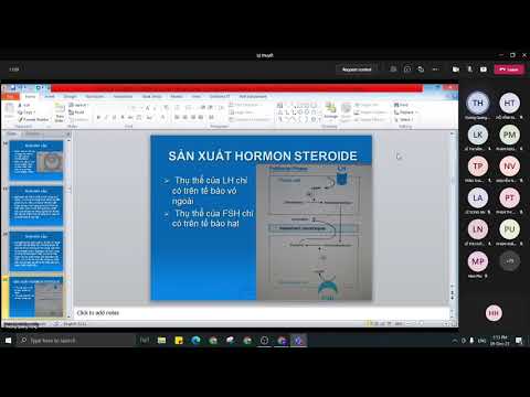 Video SL chu kỳ kinh nguyệt - youtube