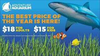 Fall Promotion