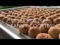 Peanut Cookies 花生饼