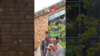 Celebrity Payphone Harmony Stacking #shorts #harmony #singing Net Worth