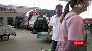 《三农群英汇》 20250621 丁书记的芦蒿增收密码 | 农业致富经 Agriculture And Farming