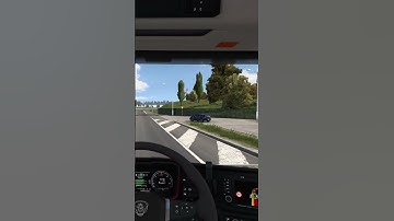 Are You Kidding Me #shorts #ets2 #scssoftware #fanatec