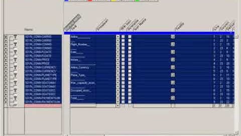 SAP ABAP   BC410 Programming User Dialogs with Classical Screens Dynpros part №1