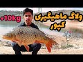 ماهیگیری ماهی کپور با قلاب ولاگ صید ماهی کپور بزرگ و آموزش ماهیگیری کپوری با قلاب 