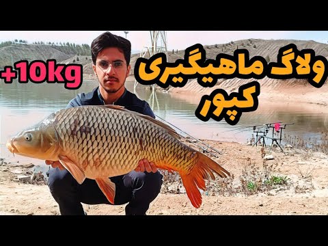 ماهیگیری ماهی کپور با قلاب ولاگ صید ماهی کپور بزرگ و آموزش ماهیگیری کپوری با قلاب 