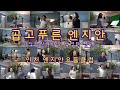 곱고푸른 엔지안 - 인천 엔지안요들클럽(요들송 배우기)