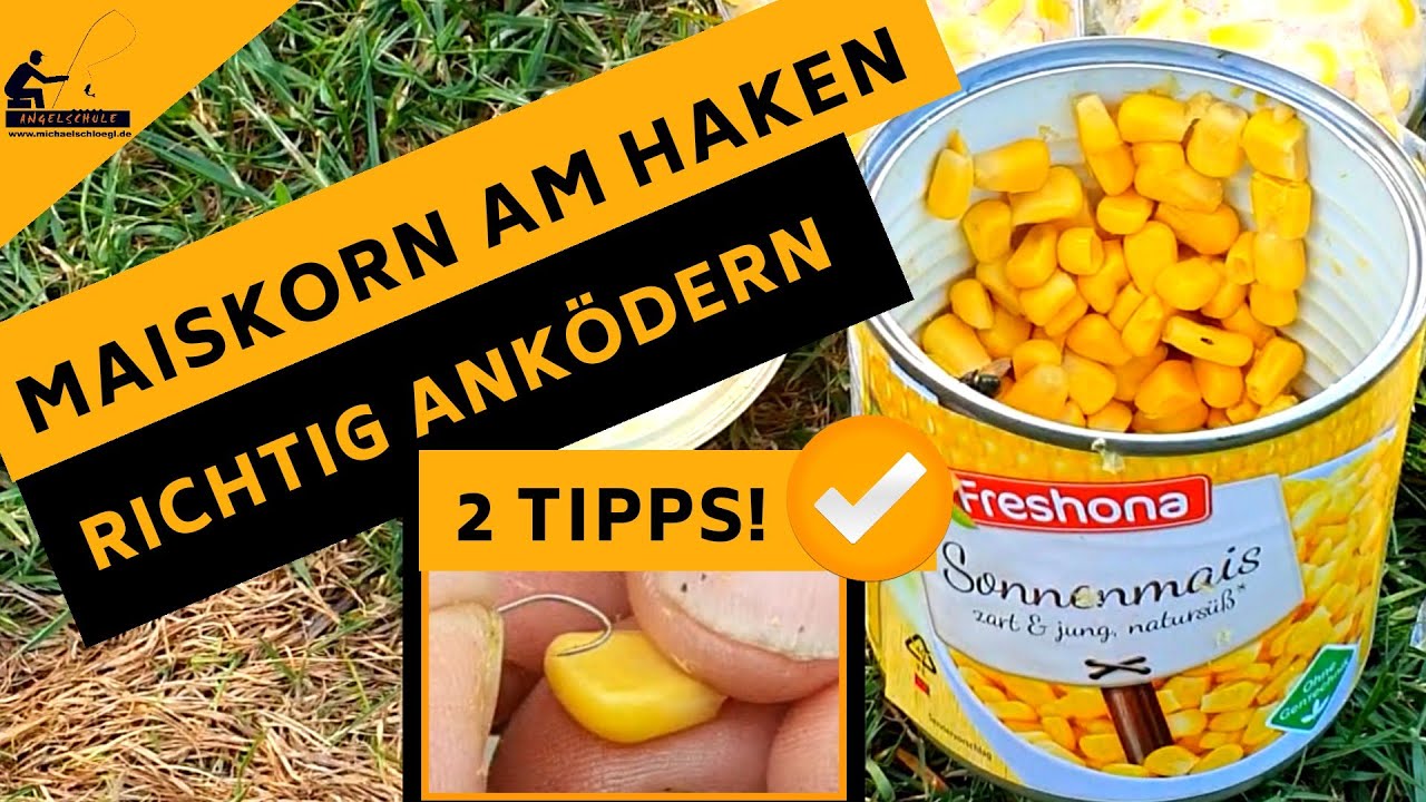 DAS klassische Maiskorn - Richtig anködern !