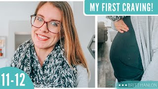 11-12 Week Pregnancy Update | Finding Out The Gender &amp; My First Real Craving