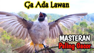 The sound of the original gacor finches without sharp rollers is MengGaruda