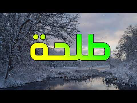 معنى اسم طلحة وصفات من يحمل هذا الاسم