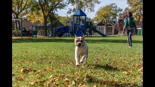 Living in Old North Milwaukee, WI: The Ultimate Local Guide | Homes.com