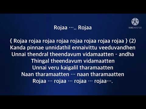 Roja Roja song lyrics song by PUnnikrishnan