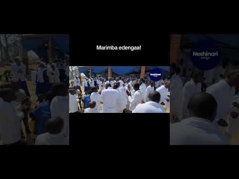 Zadzisa Chirevo D Chidoti