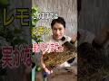 ９月は植え替えの適期です。ぜひやってみてね！
