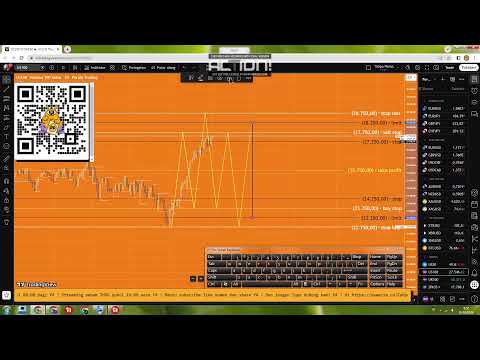 Trader Pemula Live Stream analisa forex aud nzd jpy eur gbp chf usd cad gold silver oil btc indeks.