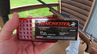 17 HMR water jug test