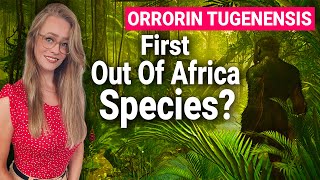 Orrorin Tugenensis Left Africa 6 Million Years Ago