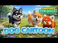 24 Hours Dog Cartoon Puppies Playing In The Park With A Adorable Red Panda