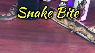How to make a Snake Bite Shot with Travis Helmka from @JustAskTrav