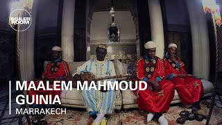 Maalem Mahmoud Guinia Boiler Room Marrakech Live Performance