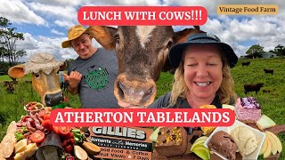 🐮 Lunch with Cows! 😋🐄