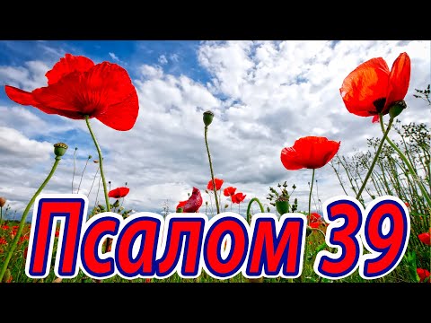 Псалом 39. Псалом Давида. Надеющийся на Господа всегда получает от Него спасение. Псалтирь