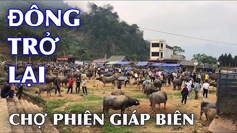 TOÀN CẢNH CHỢ TRÂU CỐC LY ĐẦU THÁNG 4/2023 - CHỢ PHIÊN GIÁP BIÊN CÓ GÌ