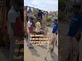 ఈ జీవి పేరు మీకు తెలుసా #life #emotional #motivation #viral #home #trending #telugu #india #shorts