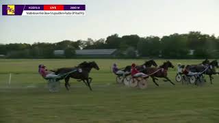 Vidéo de la course PMU WADDENBOUW KLEIN BOUW-FAM.GOUDSBLOM-PAYDAY-OFF ROAD PRIJS