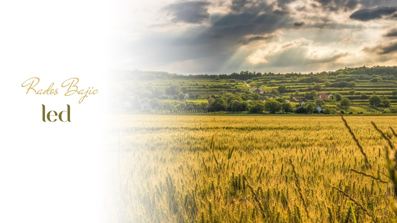 Led (monodrama) - Rados Bajic ┃ AUDIO KNJIGA