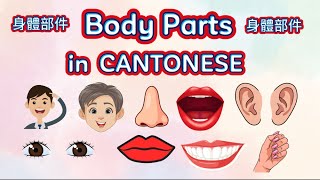 ENGLISH-CANTONESE TRANSLATION long BODY PARTS IN CANTONESE san1 tai2 bou2 gin6