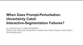 When Does Prompt-Perturbation Uncertainty Catch Interactive-Segmentation Failures