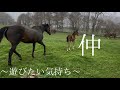 【第3グループ】 アノ子の変わらずの積極的なコミュニケーション☘️☘️