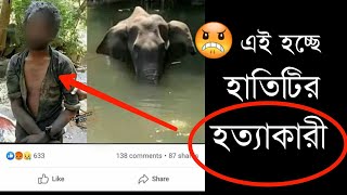 কে হত্যা করলো হাতিটিকে ? #kerala #elephant #killer