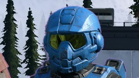 Halo Infinite Bots are a giant meme | A montage experience