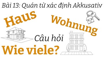 Ngữ pháp tiếng đức A1.1 | Bài 13  | Quán từ xác định akkusativ  | Mít học tiếng đức