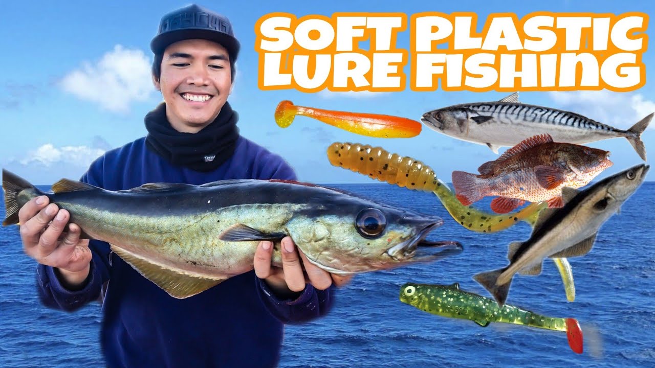 SOFT PLASTIC LURE FISHING Multispecies!! MACKEREL/WRASSE/POLLOCK