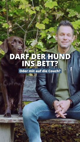 Darf der Hund ins Bett/auf die Couch? #hunde #hundetraining #hundeerziehung