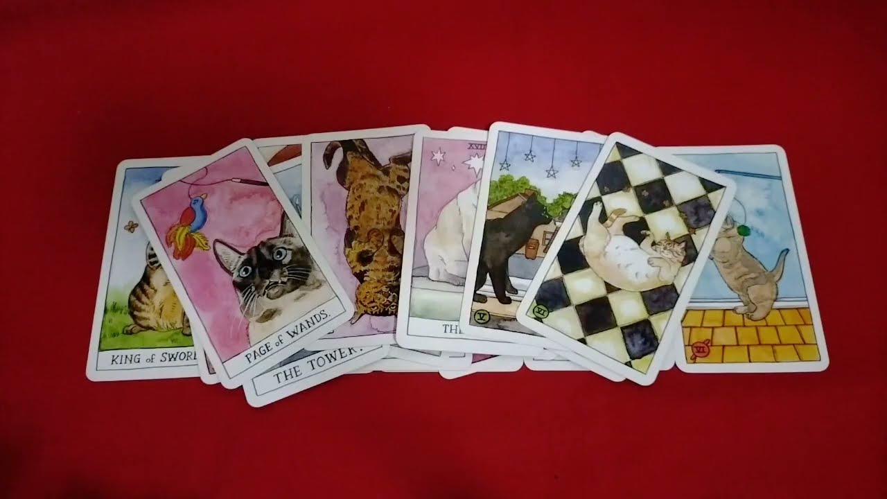 ♥️ตอนนี้ใครกำลังคิดถึงคุณ?♥️