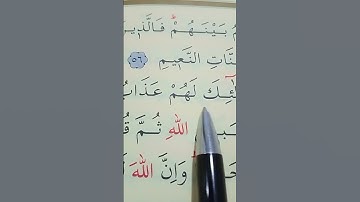 سورة الحج الأية 56 إلى 59 القارئ سعد الغامدي