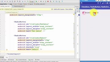 RadioButton ve Programatik Olarak Eklenen Checkbox Örneği - 1