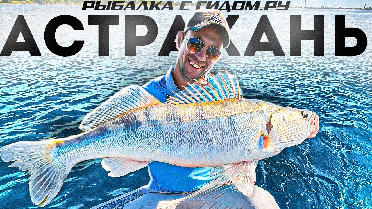 РЫБАЛКА С ГИДОМ в АСТРАХАНИ на СУДАКА в черте ГОРОДА. АСТРАХАНСКИЕ ...