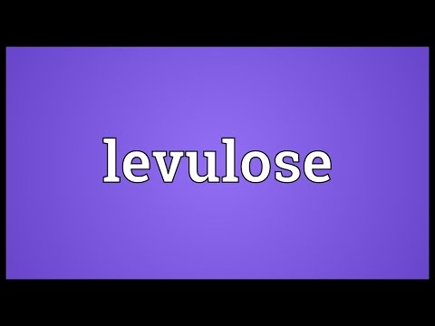 Levulose Meaning
