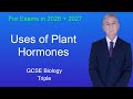 GCSE Biology Revision "Uses of Plant Hormones" (Triple)